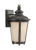 Burled Iron Outdoor Wall Lantern C933