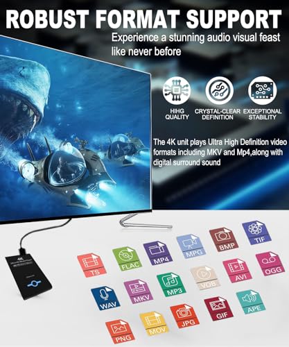 4K Ultra HD Media Player & HDD Enclosure 2-in-1 J210871