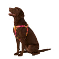 Dog Harness N354
