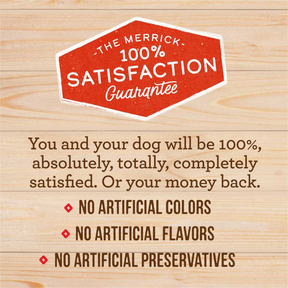Grain Free Raw Infused Dry Dog Food R87981
