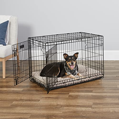 Single & Double Door Dog Crate with Leak-Proof Pan Y5235