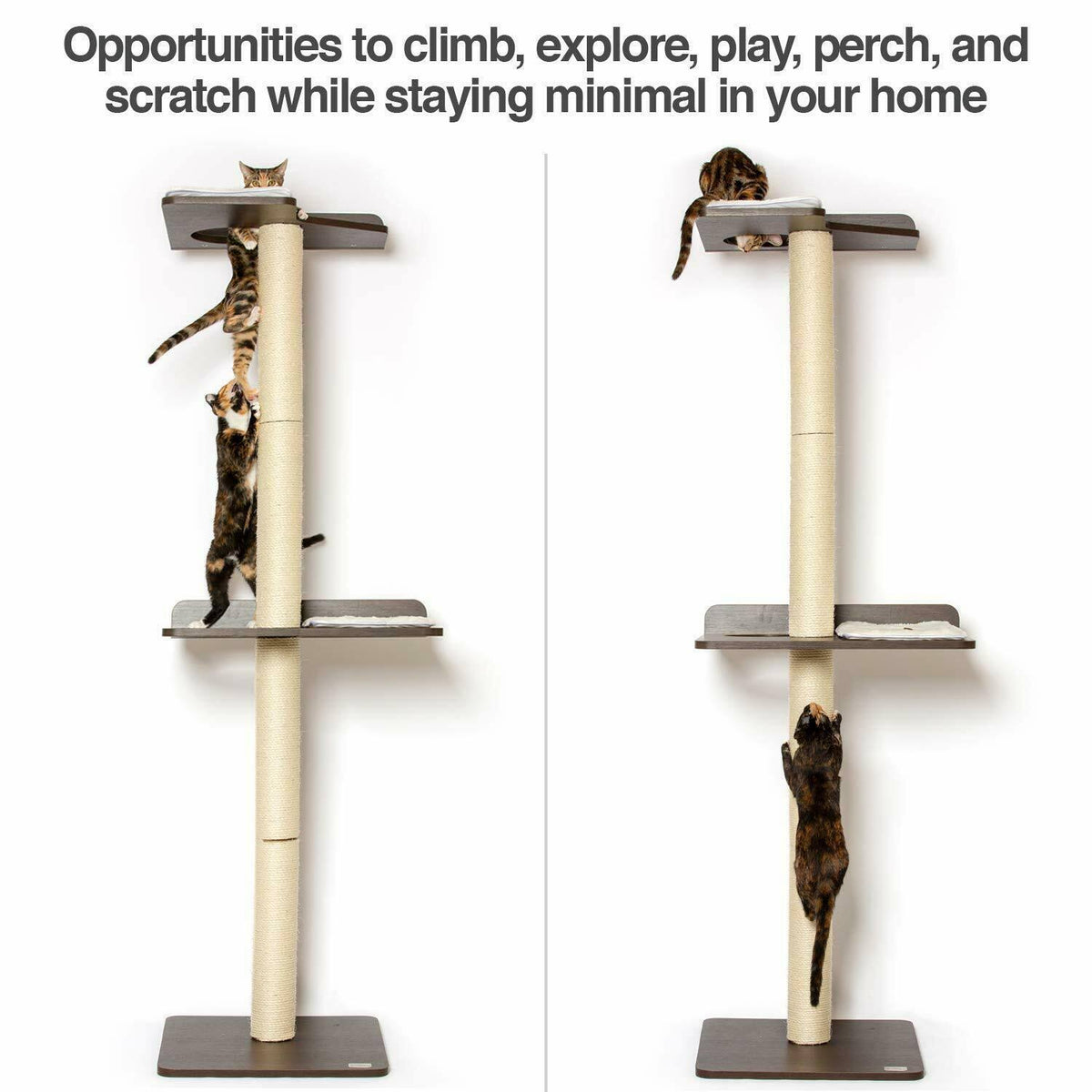 Cat Climbing Tower and Activity Tree with Sisal Scratching R5863