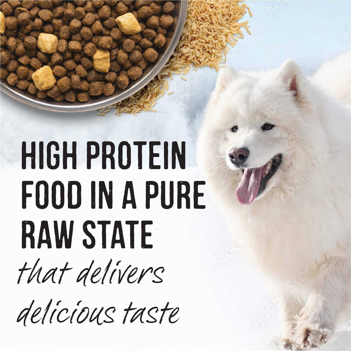 Grain Free Raw Infused Dry Dog Food R87981