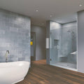 Chrome Frameless Hinged Shower Door J15673