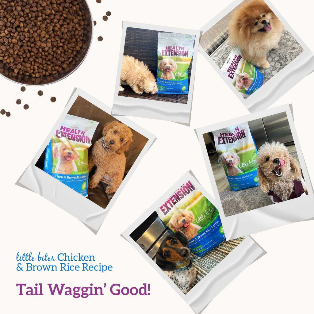 Chicken & Brown Rice Dry Dog Food C14554