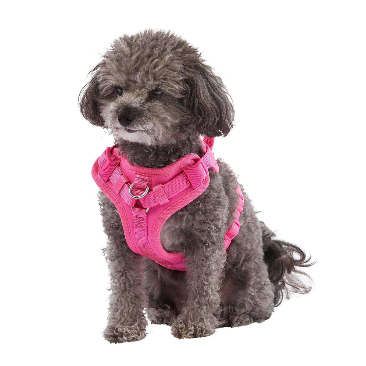 Neoprene Dog Harness Y855146