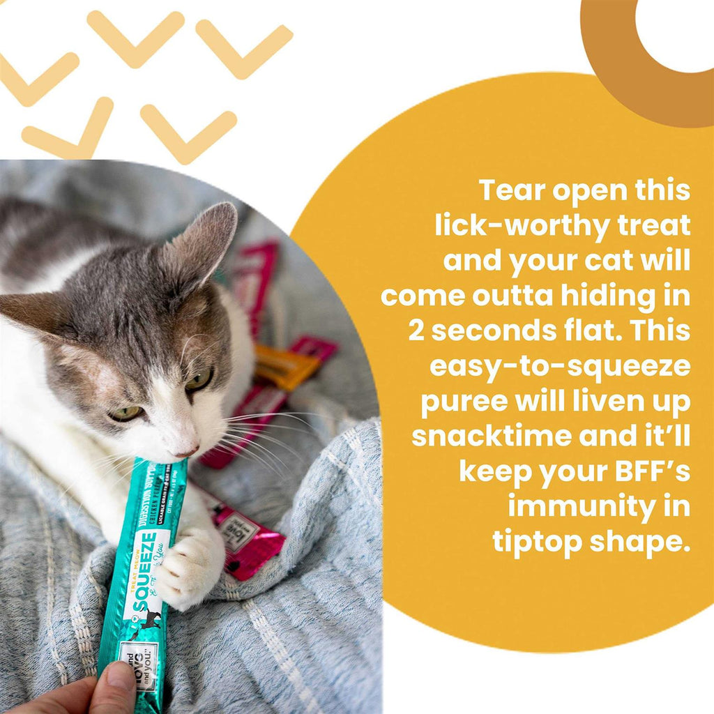 Cat Treat P469436