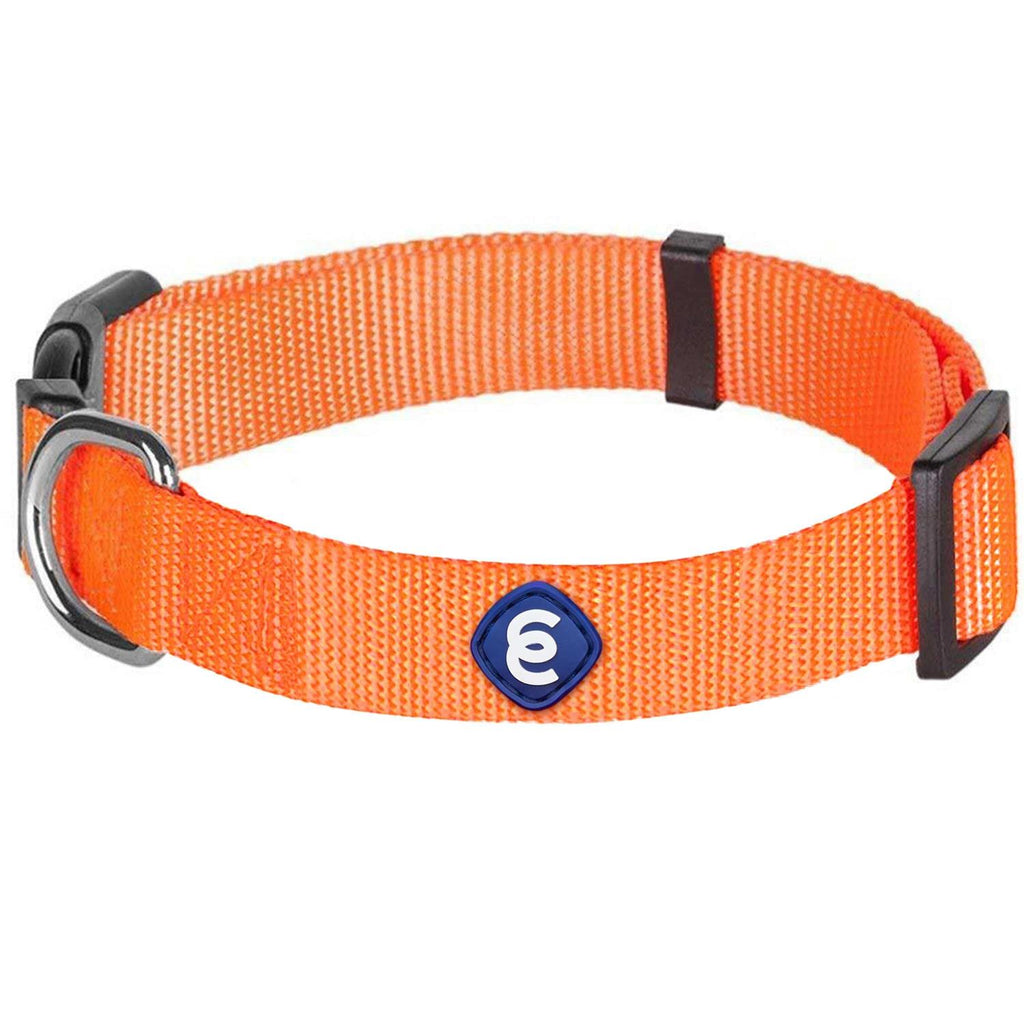 Classic Dog Collar Z26885