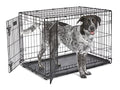 Single & Double Door Dog Crate with Leak-Proof Pan Y5235