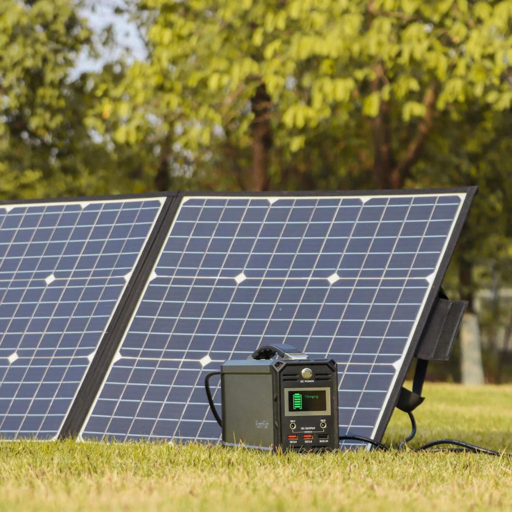 300W 222Wh Portable Power Station P100007