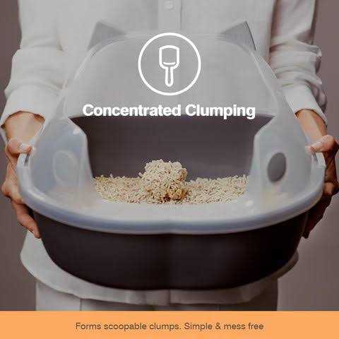 Corn Clumping Cat Litter V393298