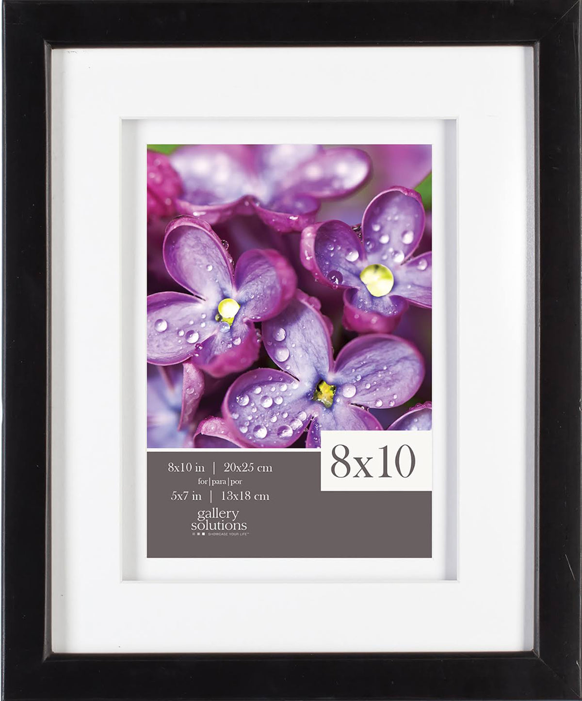 Black Wood Frame L442762