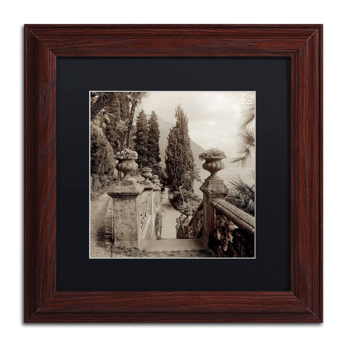 Black Matted Framed Art L829
