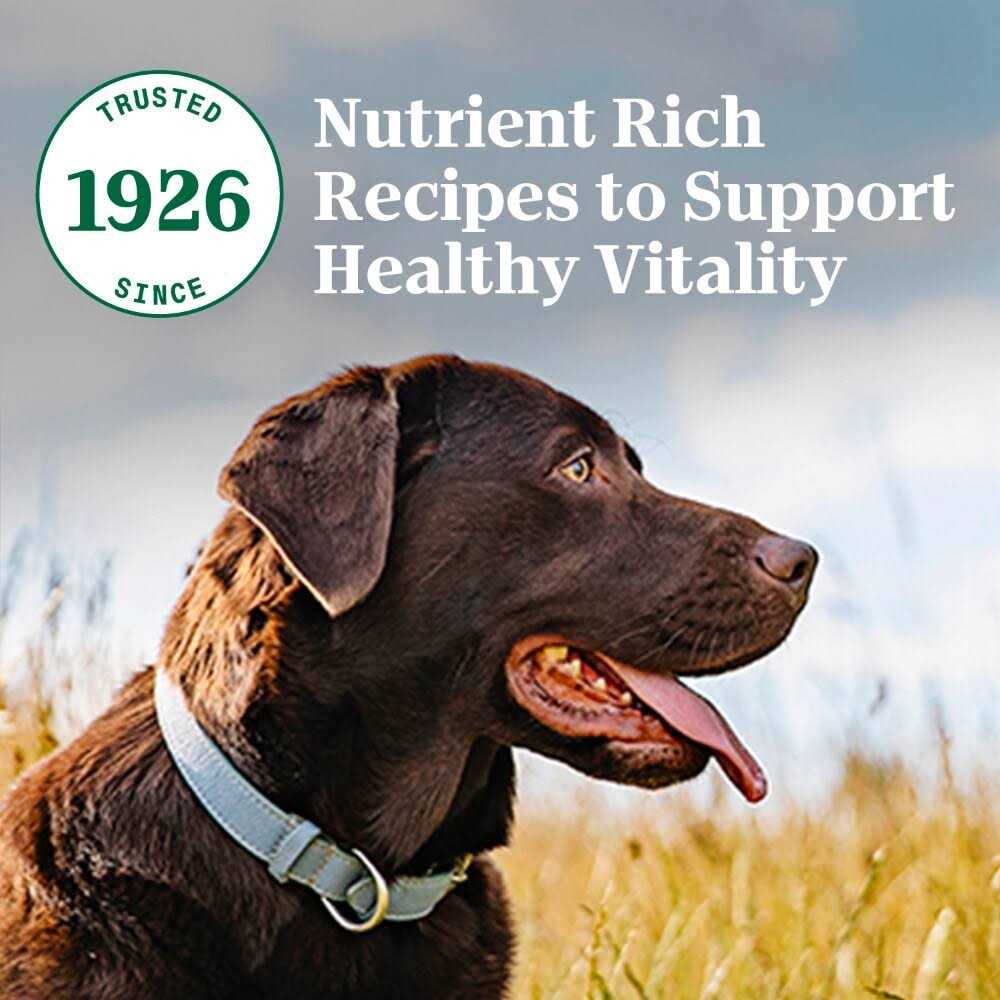 Adult Beef Rice Dry Dog Food Q417426