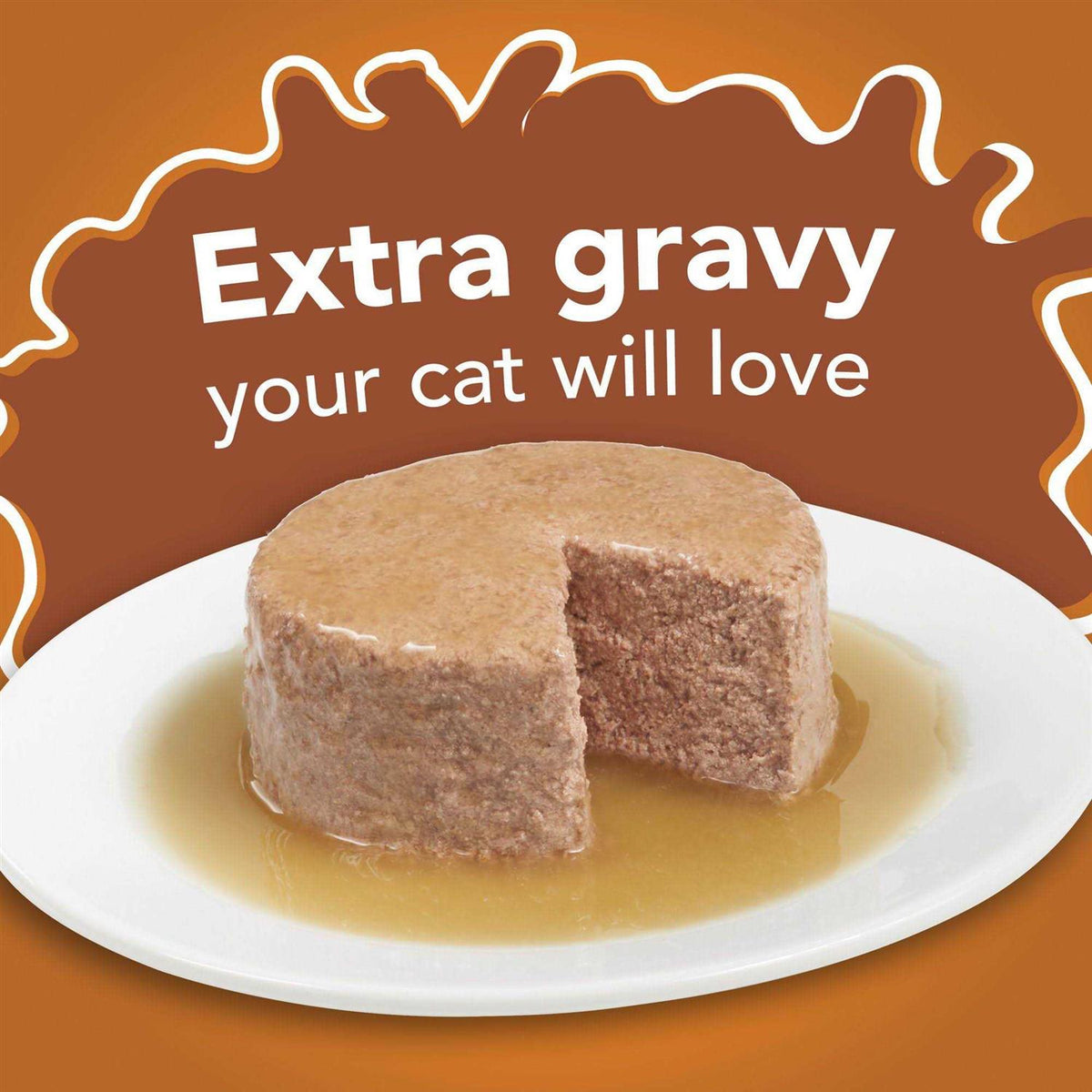 Wet Cat Food Gravy B1772