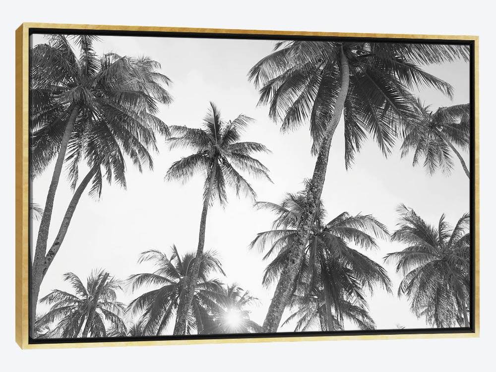 Gold Framed Canvas Photograph Print Q17821