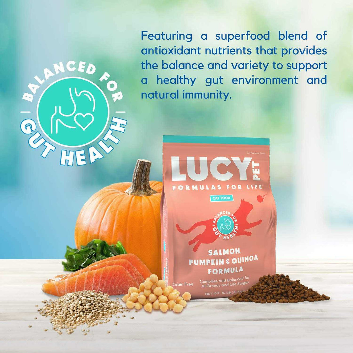 Dry Cat Food Salmon G95562