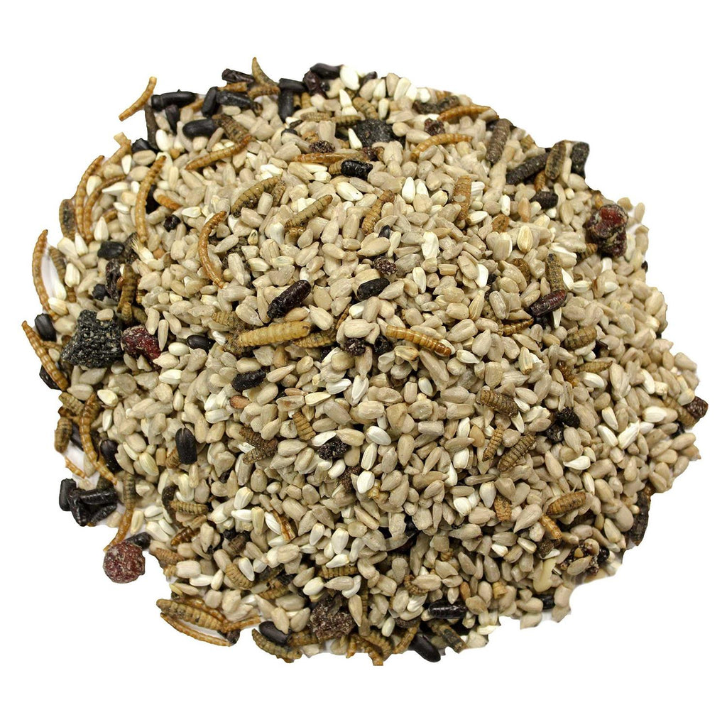 Bugs N' Berries Bird Food F624