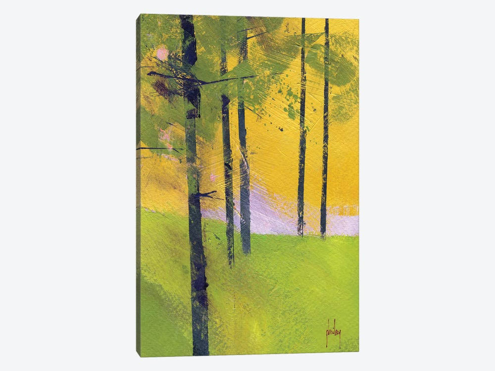 Canvas Wall Decor Prints H26453